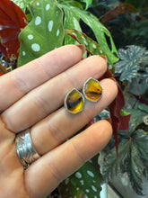 Load image into Gallery viewer, Montana Agate Earrings
